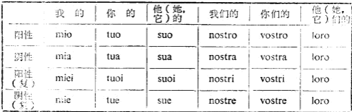 ������Z���������~